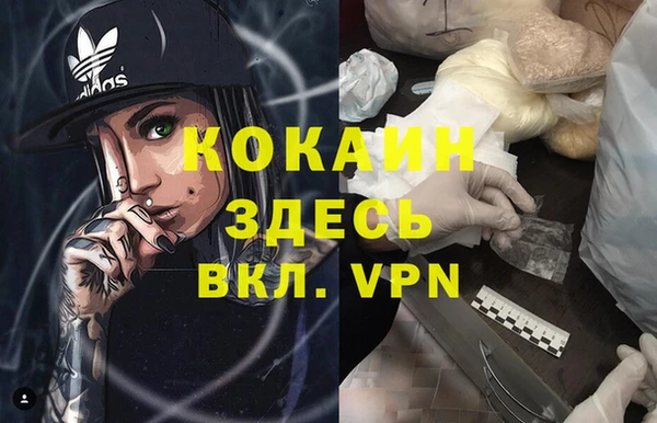 дживик Алзамай
