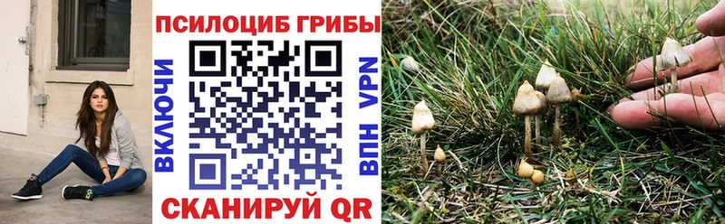 Псилоцибиновые грибы Magic Shrooms  Краснотурьинск 